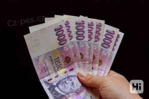 Rychl� a spolehliv� p�j�ky