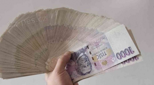 Rychl� p�j�ka s ru�en�m