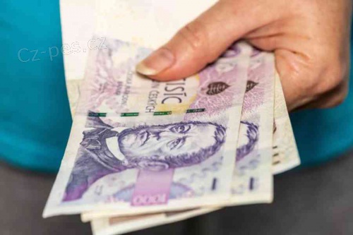 Rychl� p�j�ka do 24 hodin