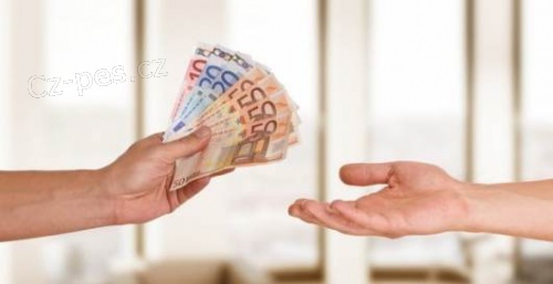 Z�skejte dnes a� 30 milion� K�