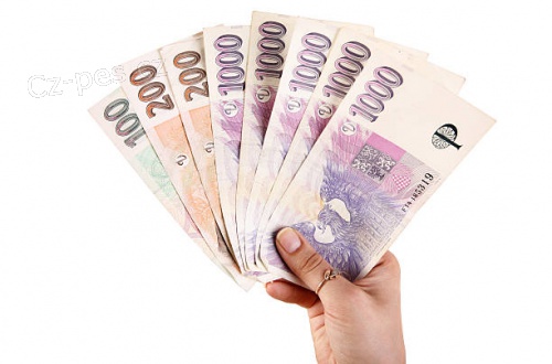 NEJLEP�� A RYCHL� ONLINE P�J�KA