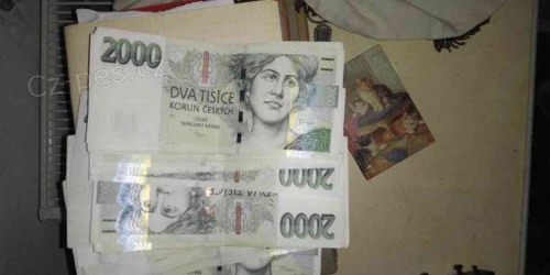 P�j�ky a poji�t�n� p�j�ek