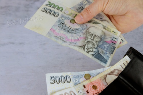 Rychl� p�j�ka: suzanakove@seznam.cz