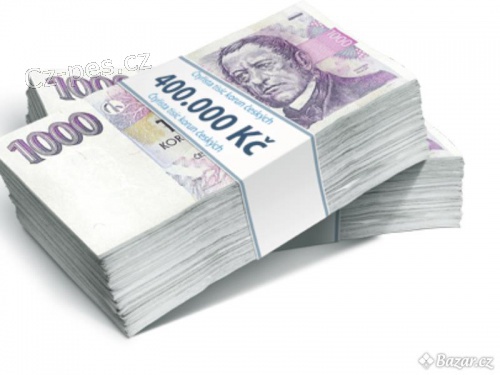 P�J�KA BEZ PODVOD