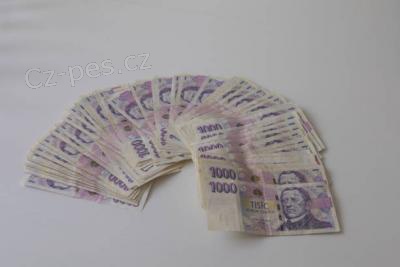 SNADN� P�J�KY DO 30 MINUT