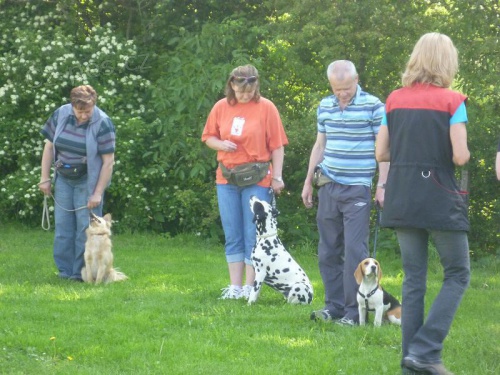 V�stavy na kl��