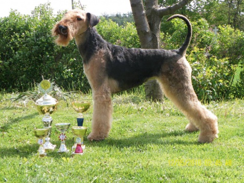 ST��H�N� A TRIMOV�N� TOUCHOVICE