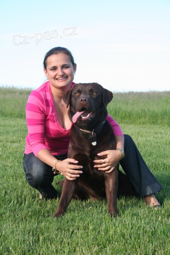 �okol�dov� labrador s PP