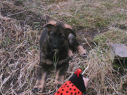 prod�m �t�n� NO s PP