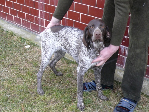 �t��ata NKO s PP