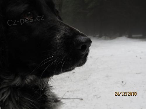 Prod�m �t���tka