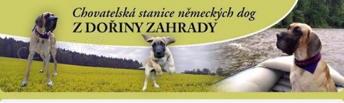 N�meck� doga �lut� �t��ata