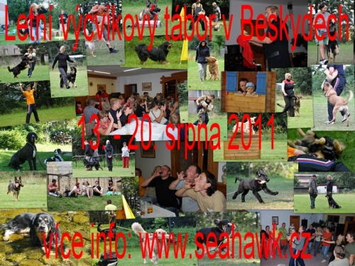 Letn� v�cvikov� t�bor