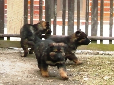 �t��ata NO s PP