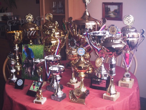 KRYT� - Belgick� ov��k Malinois s PP