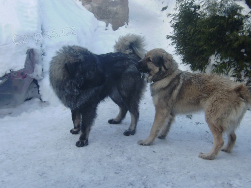 prod�m �t��ata