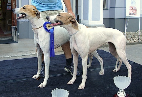 Prod�m �t��ata Ma�arsk�ch chrt�