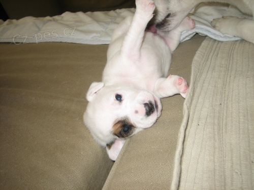 Posledn� voln� holka !