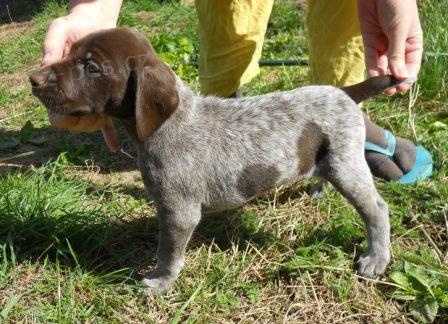 �t�n� n�meck� kr�tkosrst� oha�