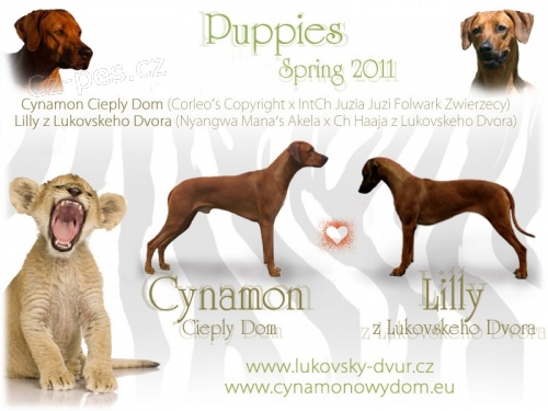 RHOD�SK� RIDGEBACK � �t���tka