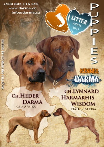 perspektivn� �t���tka RR 