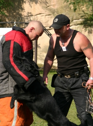 n�meck� ov��k-�t�n�tka na sport