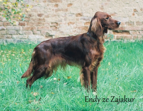 Prod�m �t��ata Irsk�ho setra s PP