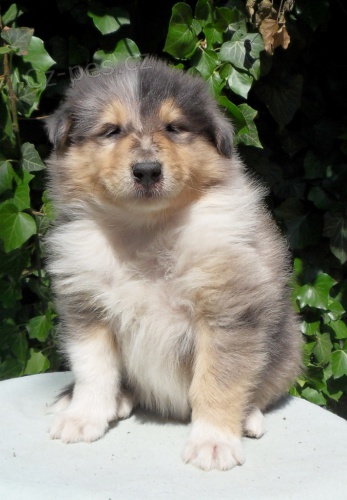 Zad�m �t��ata