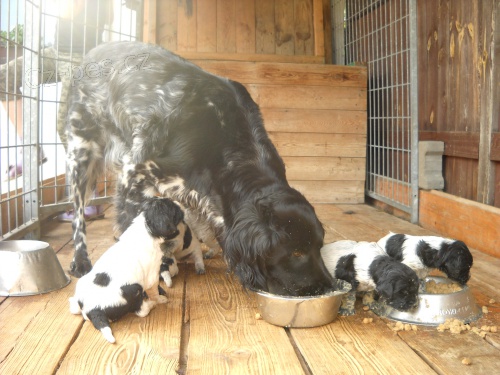 Prod�m �t��ata