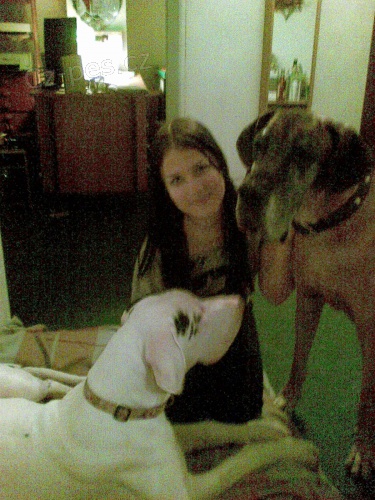 Ven�en� a v�cvik ps� Brno!