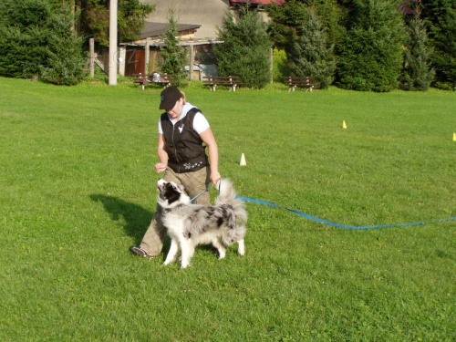 Ven�en� a v�cvik ps�