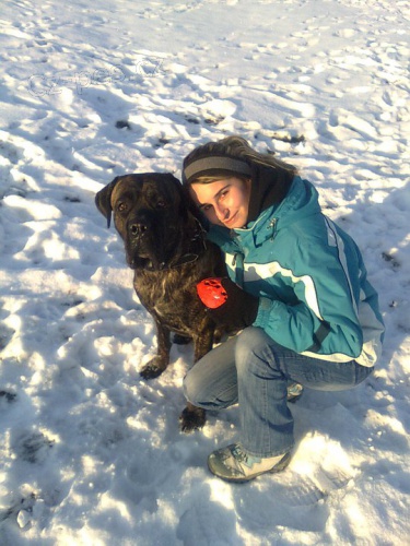 Nab�dka kryt� cane corso s PP
