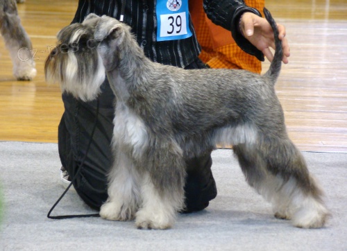 �teniatka mal� brad�� K+S