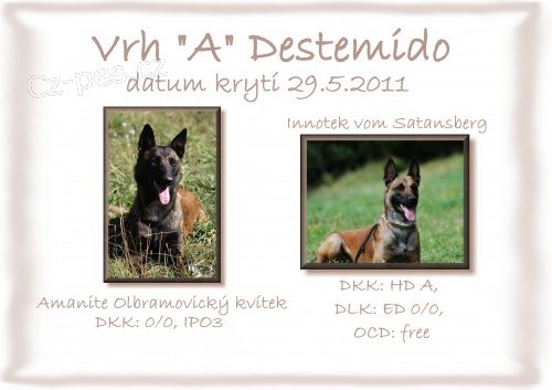 Zad�m �t��ata