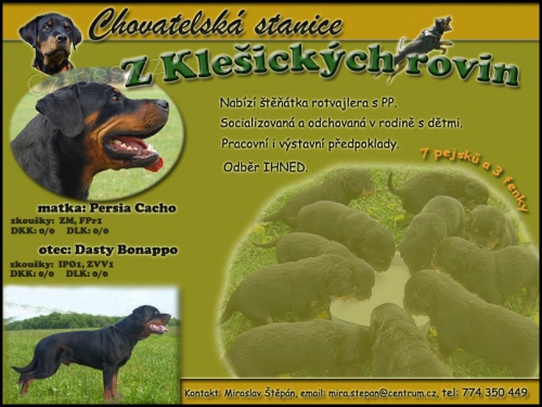 �t��ata Rotvajlera