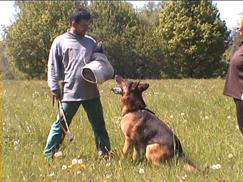 nab�z�m ke kryt�