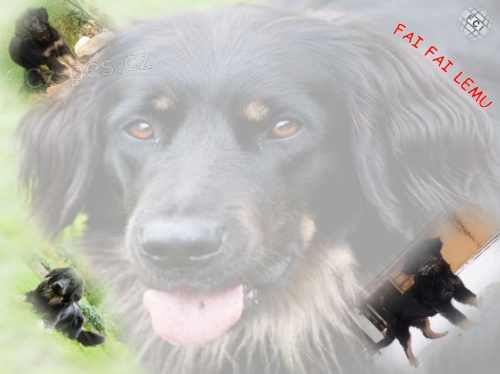 nab�z�m� �t��ata s PP