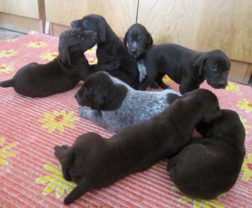 �T��ATA N�MECK�HO KR�TKOSRST�HO OHA�E