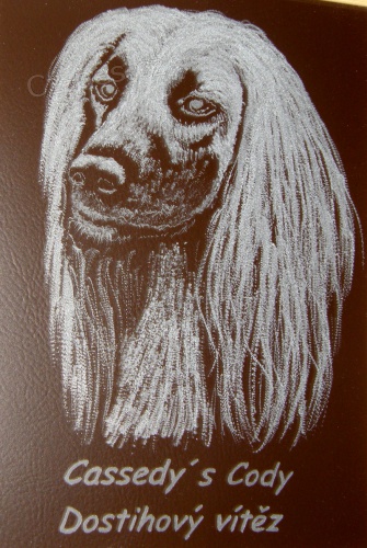 V�� �AMPION - NA�E INSPIRACE