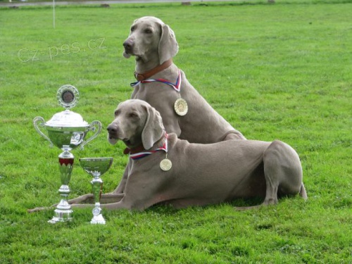 �t��ata V�marsk�ho oha�e