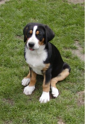 Prod�m �t���tka!