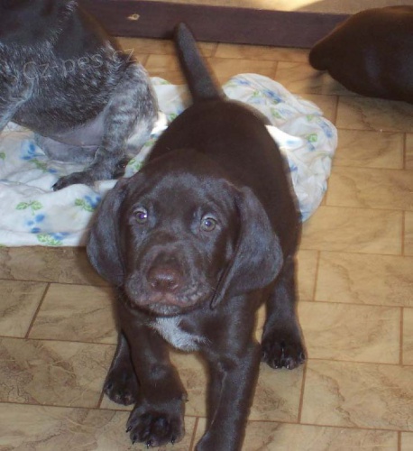 �T��ATA N�MECK�HO KR�TKOSRST�HO OHA�E s PP