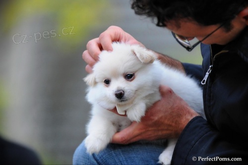  �ivava �t��ata k p�ijet�