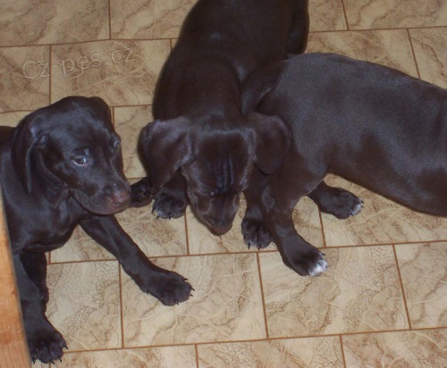 N�MECK� KR�TKOSRST� OHA� - �T��ATA s PP