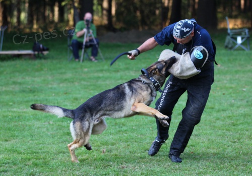 Zkou�ky IPO Dob�ejovice Praha