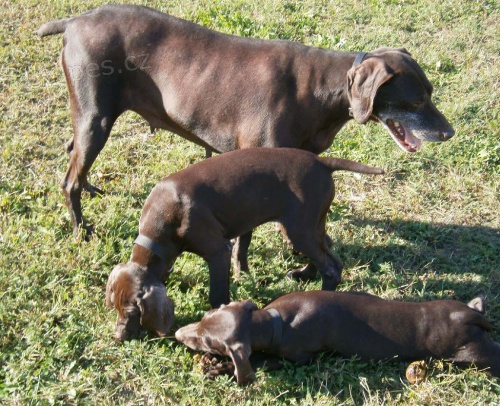 �T��ATA N�MECK�HO KR�TKOSRST�HO OHA�E s PP