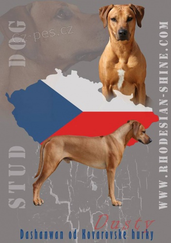 Nab�dka kryc�ho RR!