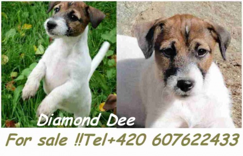 Posledn� voln� fene�ka s PP !!