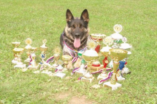 �t�nata CHS. Adnaf