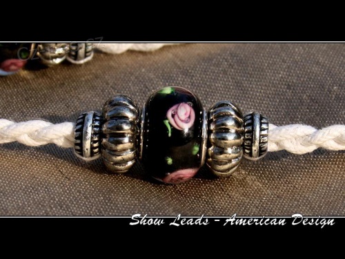 V�stavn� vod�tka "Show Leads"